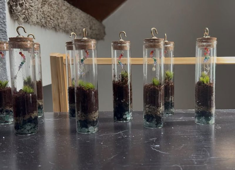 A row of hanging glass tube terrariums with cork tops, brass hooks, moss and strings of colored beads.