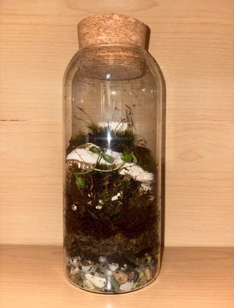 A tall cork-stoppered bottle terrarium with moss, a white stone and a tiny trailing plant.
